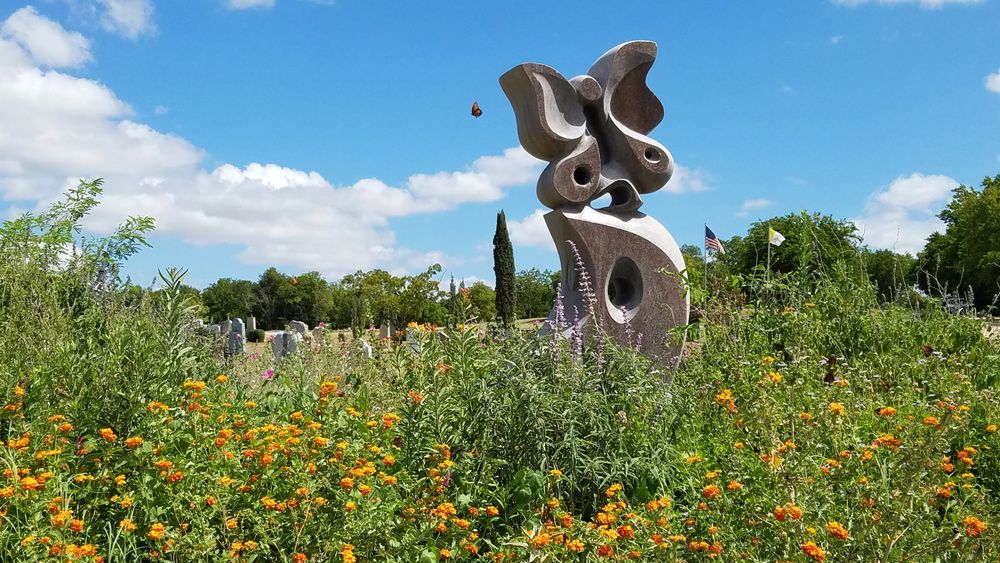 Butterfly Garden in full bloom
