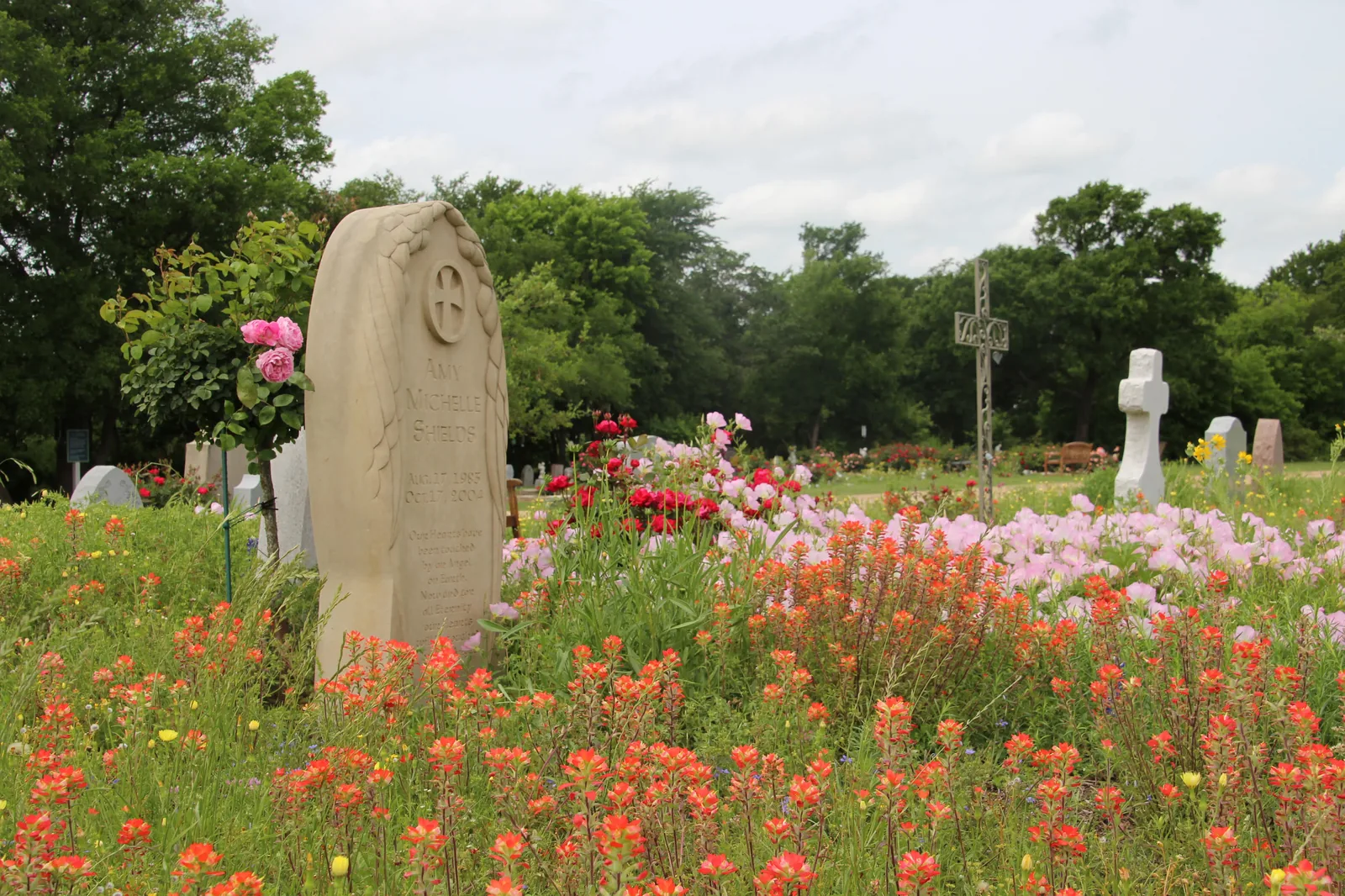 Indian paintbrush and wildflowers among memorial stones